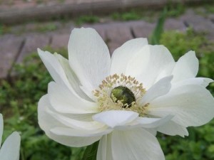 颓废no.22（一位年轻人面对颓废时的自我救赎与成长之路）