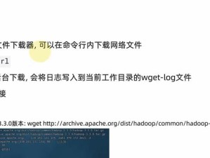 网络命令（了解网络命令的作用及关键技巧，轻松驾驭网络世界）