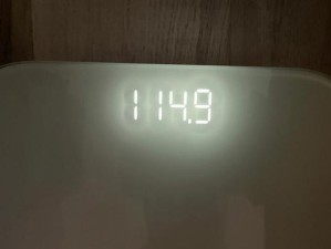 大白菜5.1安装教程（详细步骤教你成功安装大白菜5.1，让你的电脑更智能化）