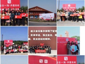 一淘电商的发展与影响力（揭秘一淘电商的成功之道）