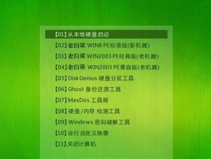 大白菜PE原盘安装系统教程（详细步骤图文指导，让你轻松搭建个性化系统）