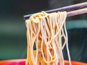 青年菜君的成长故事（探索美食界的年轻力量）