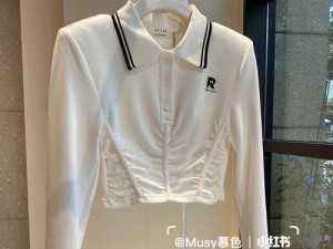 AW2310T显示器的优点与特点（探索AW2310T显示器的性能和功能）