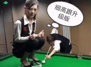 12寸NMB性能评测及购买建议（深入解析12寸NMB的特点和使用体验，帮您做出明智的购买决策）