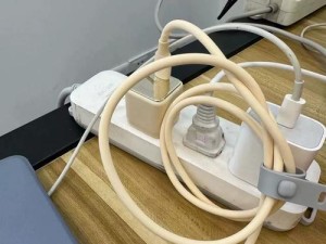如何查询苹果充电器头的正品真伪？（苹果充电器头正品查询方法大揭秘！）