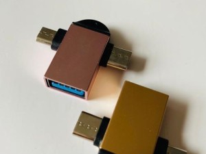 Type-C二合一的性应用与发展（探索Type-C二合一技术的前景及影响力）
