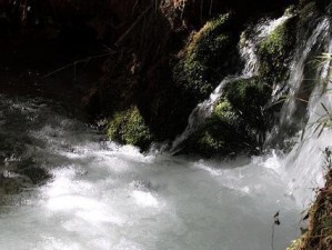 探索山水11d的魅力（一场身临其境的视觉盛宴）