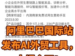 阿里国际站效果如何?