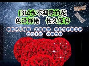 轻松制作U盘启动盘，带你掌握PE制作工具教程（用U盘打造强大的PE启动系统，解决电脑故障不再烦恼）