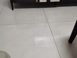 匠龙扫地机器人的性能与使用体验（一款高性能智能家居助手的全方位评测）