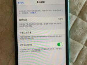 手机电磁损坏（手机电磁损坏的危害与维修方法探究）