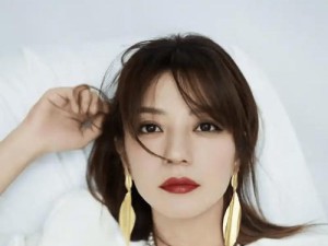 赵薇黄有龙，你们怎么看？,曾经的辉煌