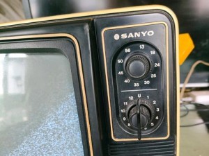 三洋彩电的品质与特点（探寻三洋彩电的卓越表现与卓越品质）