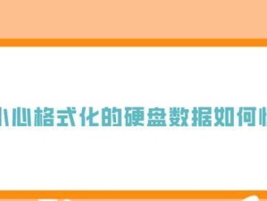 误格式化硬盘，数据丢失怎么办？（数据恢复专家教您解决误格式化硬盘的困扰）
