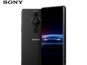 1英寸传感器（高分辨率、低噪声、广阔动态范围——开启影像创作新时代）