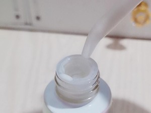 小灯泡的魅力（照亮你的世界的微小存在）