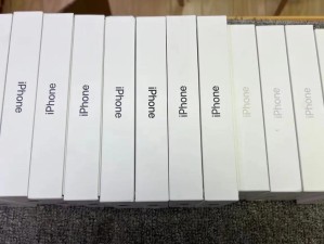 珊珊笔记本的性能和用户体验如何？（解析珊珊笔记本的功能和用户评价，探讨其适用性和竞争力。）