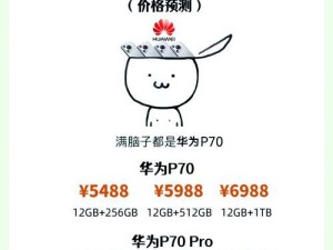 华为店平机清理多少钱一次,华为店平机清理，价格大揭秘