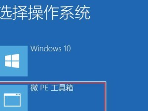 如何使用U盘安装系统——详细教程指南（U盘PE系统安装步骤及注意事项）