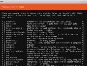 通过PE安装Linux系统教程（轻松安装Linux系统，快速上手操作）