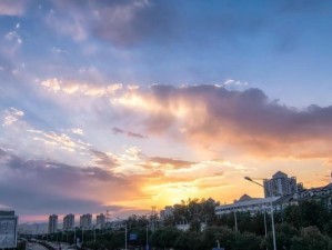探索尼康D7000的卓越性能（一款专业级单反相机的全面评估）