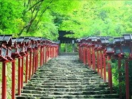 51you旅游网（为您提供一站式旅行服务，让您的旅程更加畅快无忧）